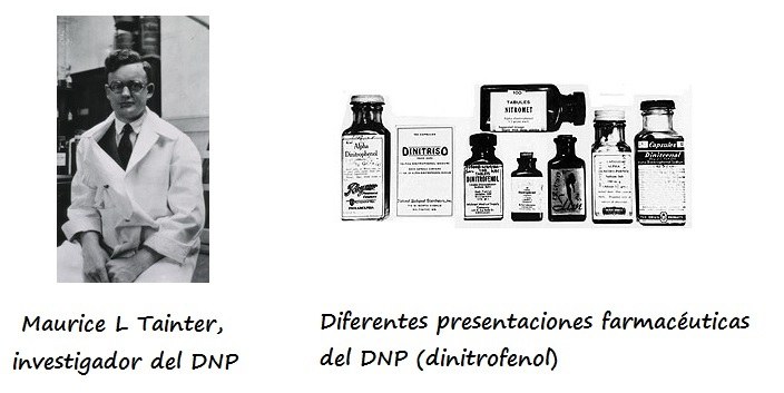 Izda: Imagen de Maurice L Tainter. Drcha: Distintas presentaciones del dinitrofenol